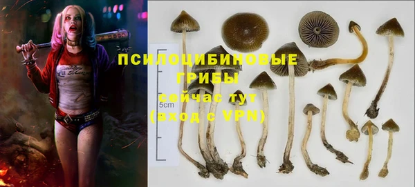винт Осинники