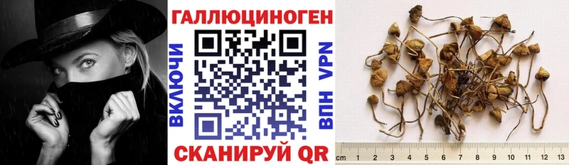 купить наркотик  Ессентуки  Псилоцибиновые грибы мухоморы 