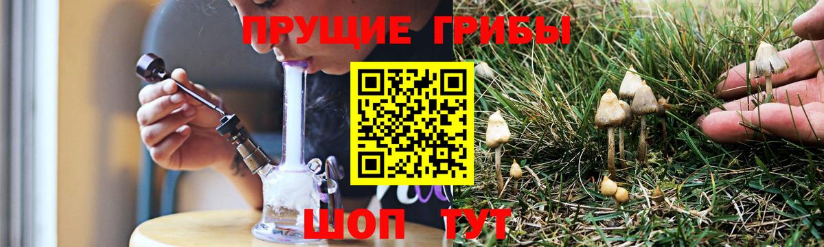 Ессентуки  Псилоцибиновые грибы мицелий  Вход с VPN 