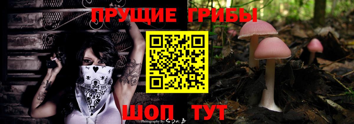 Псилоцибиновые грибы мухоморы Ессентуки